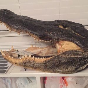 Meet your Posher, Joel